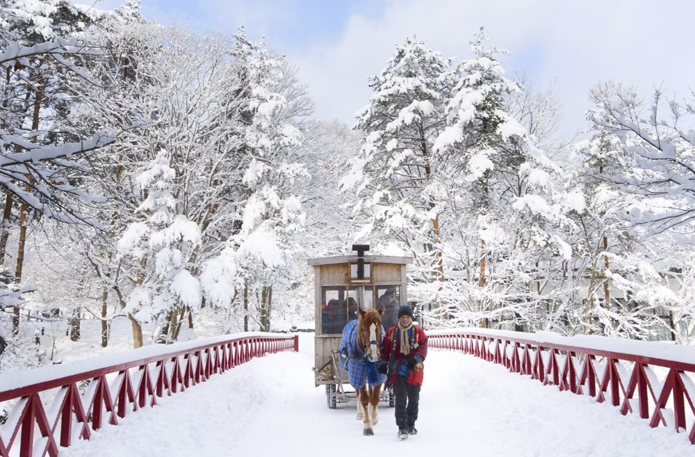 凛冬之礼：当露天温泉遇上豪雪地带