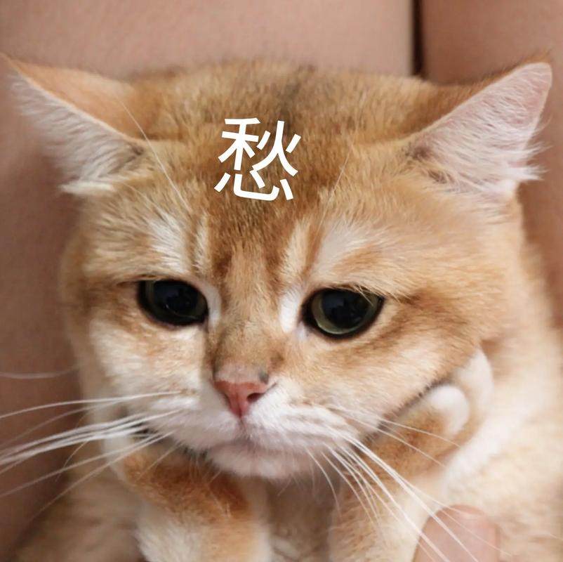 奉劝大家：买电视别只看参数！认准这两个标准不踩坑！